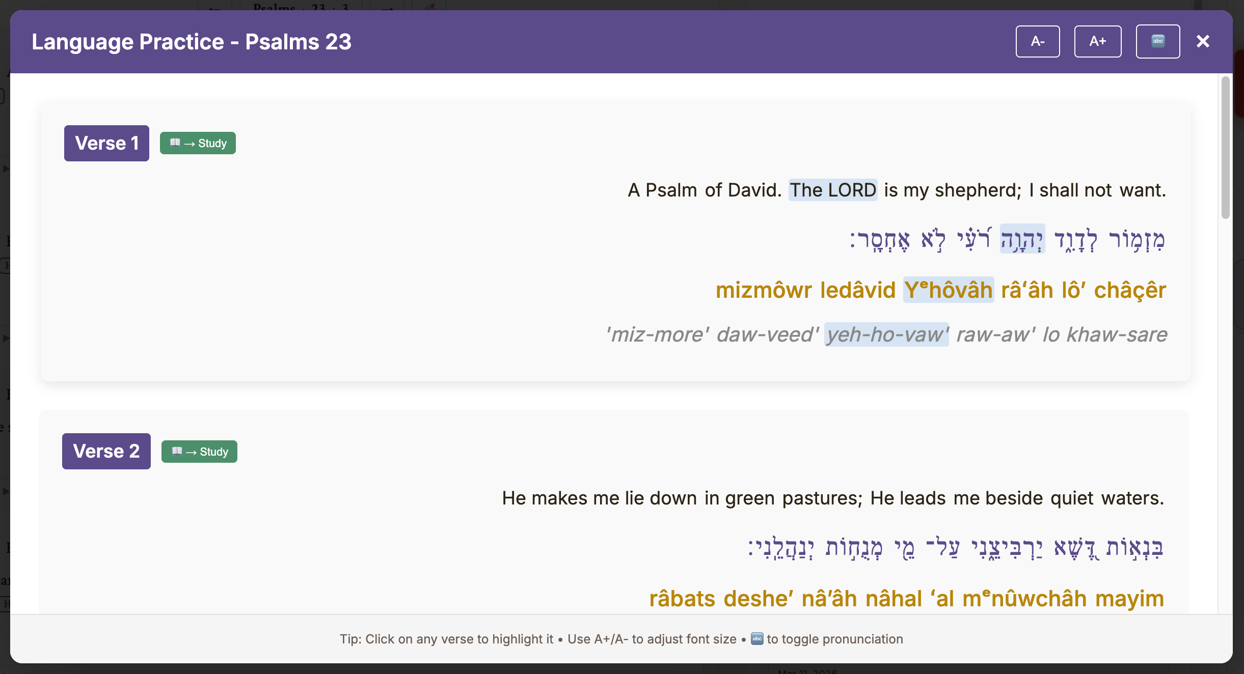 Language Practice modal showing Hebrew text with transliteration and pronunciation
