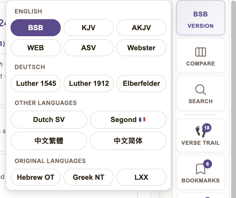 Version selector flyout showing translations grouped by language
